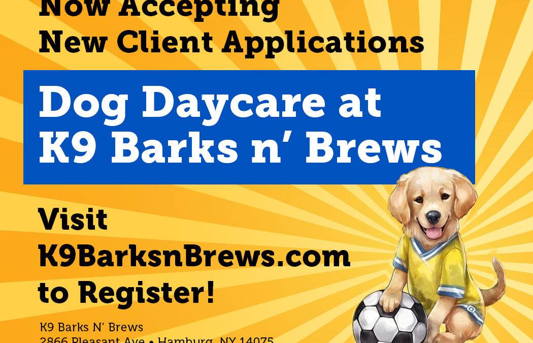 Dog Daycare at K9 Barks ‘N Brews