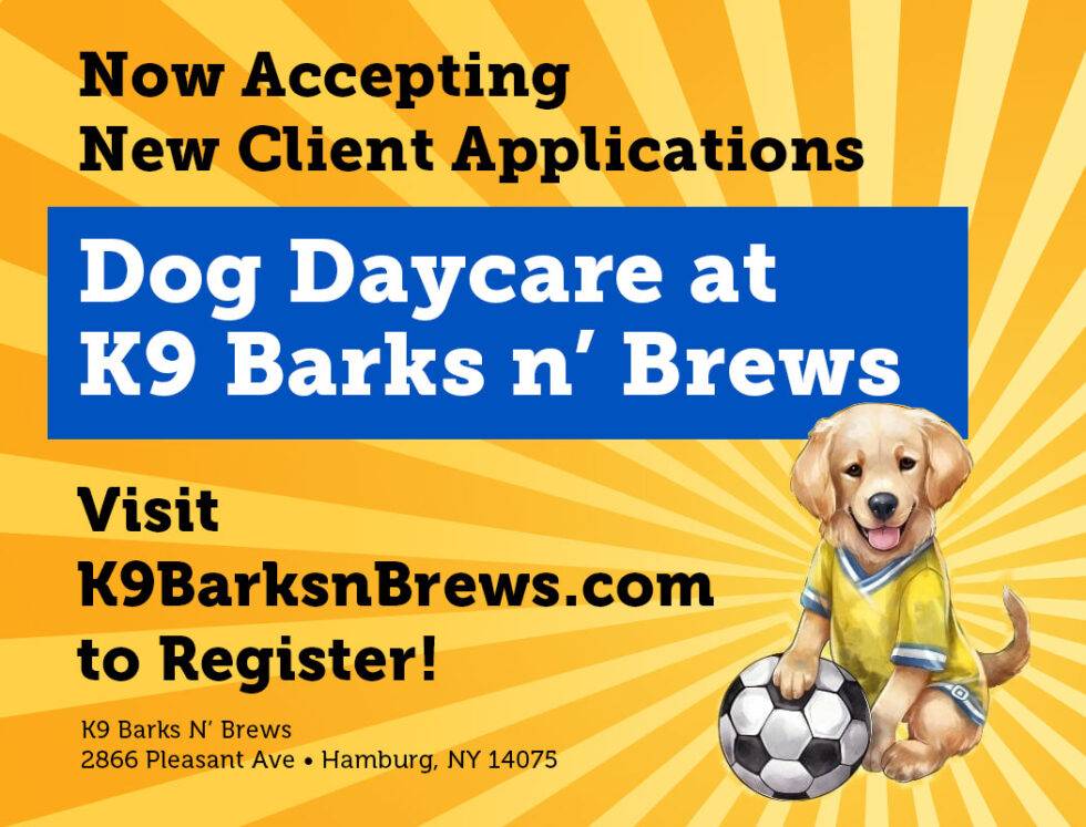 Dog Daycare at K9 Barks 'N Brews K9 Barks N Brews